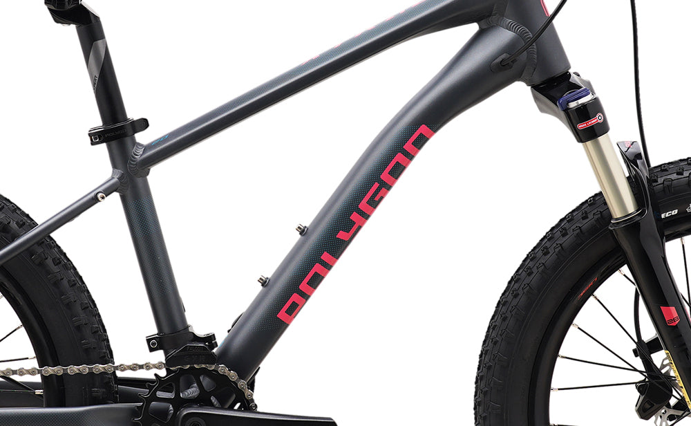 Polygon Xtrada 20 Kids Mountain Bike