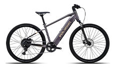 e-Commuter