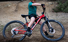 26 Inch+ Wheel